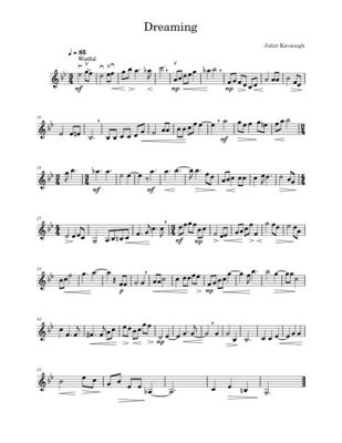 am I dreaming violin sheet music – 诠释音乐的梦幻与现实