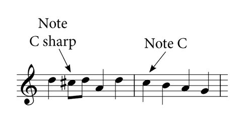 What are Accidentals in Music: A Symphony of Chaos and Order